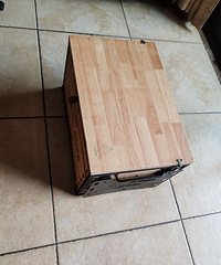 ��ɫ��ɣ����¶ӪҰ����չ�����������˾ų��¡�