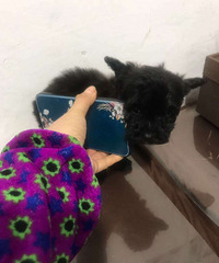 ���ֺ�̩������