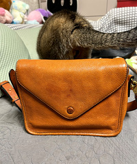 ���ú�ţƤ�ŷ����