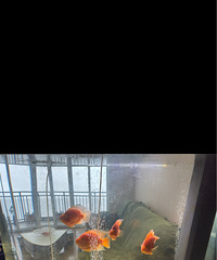 1.2����׺���ת��500Ԫ