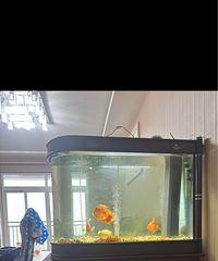 1.2����׺���ת��500Ԫ