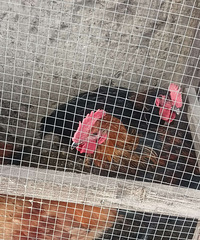 ����ũ����Ѽ��3-5��ģ�ֻ��1���ˣ����м����󹫼�