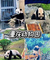 ת�����춯��԰�꿨