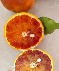 ���ٺ�Ѫ���