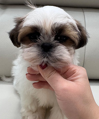 ���ּ�Ʒ��ʩ�ܵ����¼�