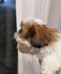 ���ּ�Ʒ��ʩ�ܵ����¼�