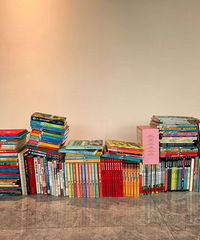 �����鼮ת��