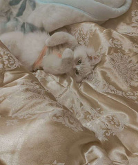 ��û��Ҫèè��