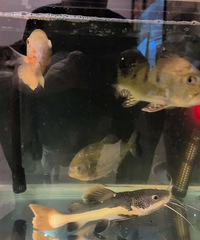 ���������������˴���