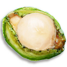 青边鲍 、4两\/个12cm长 、甘香弹牙.滋阴养肝.