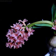 阴阳瑜伽 加强健身效果