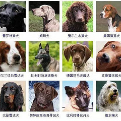 哈希娱乐- 哈希游戏平台- 哈希游戏官方网站东莞中考录取分数线（近三年汇总）