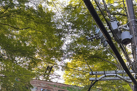 ���˺������ǣ�������ЩĿ�ĵؿ����Լݱܶ������һ�����Ķ���