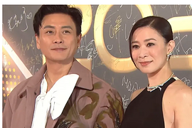 TVB�佱���̺���仯���أ�50����ʫ��ѹ�ᣬ�������ϵ��ϲ���