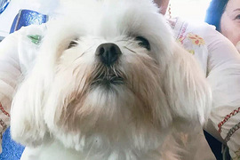 杭州办理港澳通行证 怎么样办理港澳通行证的