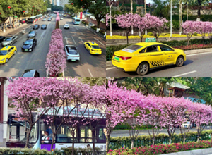 ������������һ������ѳ���ҡ������