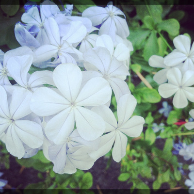 24岁,遇见,就是一个美好的开始-爱在人间天堂-