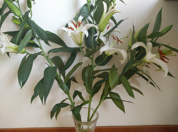 唯有爱情不可妥协-单身男女-台州19楼