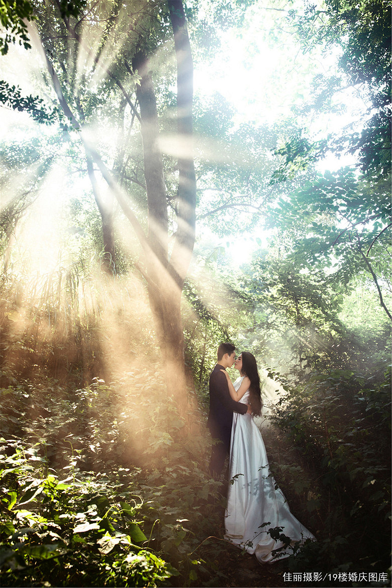 森系婚纱照:朦胧树海_森系_森林_佳丽摄影的特