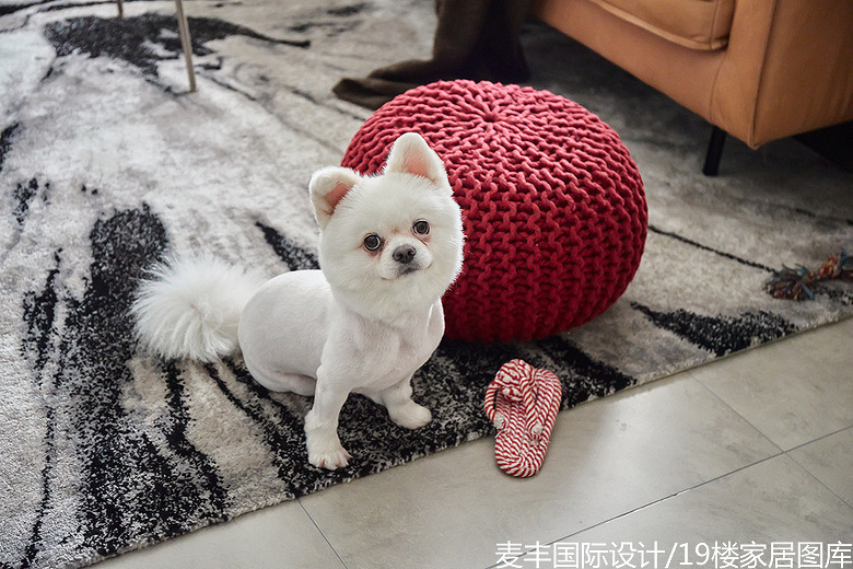 ԭľ�� ��Լ����װ��Ч��ͼ