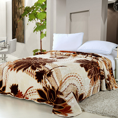 艺被 拉舍尔毛毯双层加厚特价单人冬季毛毯双