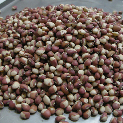 东北黑龙江花豇豆500g 有机五谷杂粮粗粮豆角