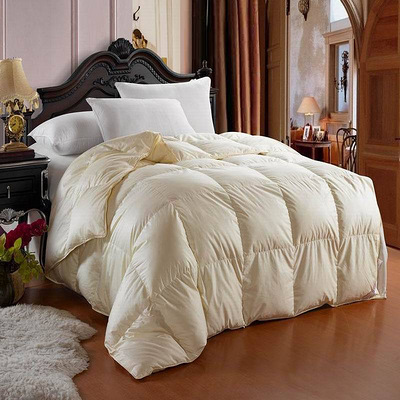 反季促销 2折恒源祥蒙鹅绒羽绒被子 正品 冬被