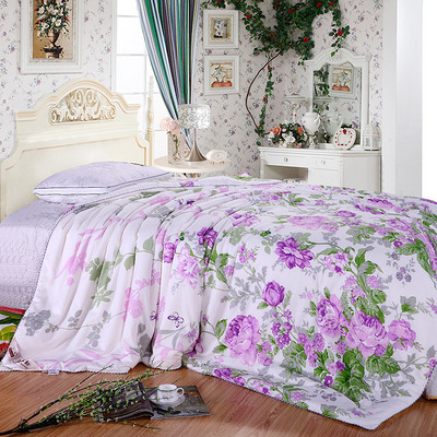 淘金币 桐乡桑蚕丝被芯 100?工丝绵被子 全棉印