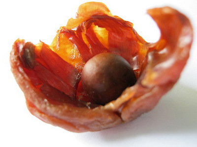 正宗漳州 兰竹 荔枝 荔枝干 核小肉厚 500g袋\/特