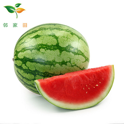 【邻家田】海南麒麟瓜 西瓜 新鲜水果 1只装约