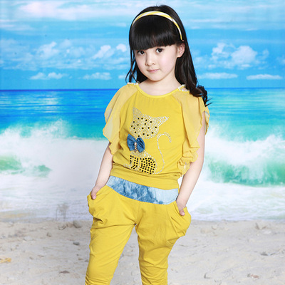 13岁女童装夏装大童女装2013新款韩版儿童套