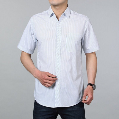 男装夏款2013休闲男士短袖衬衫 纯棉免烫条纹衬衣中青年澳峰新款 - 服饰 - 杭州19楼