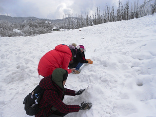 跟团的西岭雪山两日游(加了费用明细了)_旅游