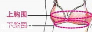 女人内衣<em>尺码</em>不对,容易破坏胸型,维密,古今,等文