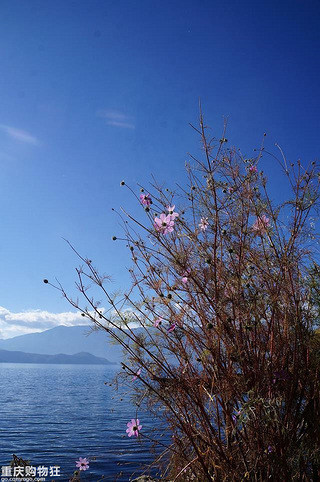 2000元含机票 游丽江-大理-泸沽湖8天8夜-国内