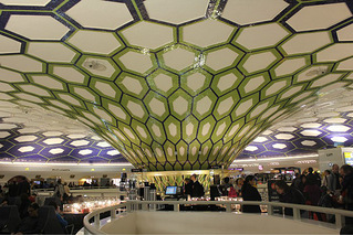 从上海坐飞机去埃及.机票大概需要多少钱?