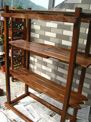 养花知识大全【19楼家庭养花技巧宝典】 持续