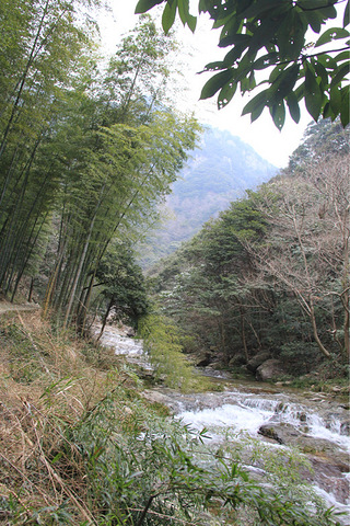 宁海(桃花溪)