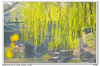 清风扶细柳的下一句是什么?