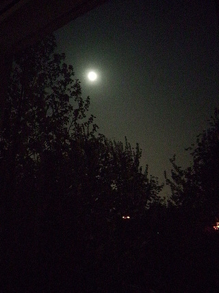 今晚的月亮好圆
