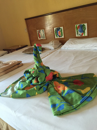 【差点嫁到哈瓦那】小伊和小伙伴们的古巴狂欢