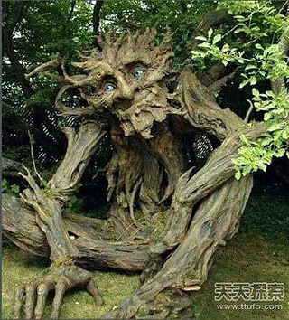印尼食人树十天吞噬妇女:只因她做了这事