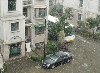 下雪了,窗外.很大.大朵的雪花飘啊飘的.