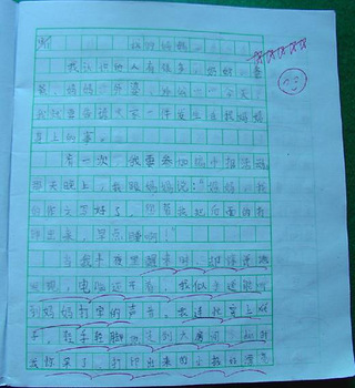 小学生6年级作文关于(海南酸粉)-介绍陵水酸粉