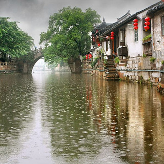 枫泾江南雨