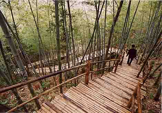 舟山青青世界旅游区位于马岙镇的南部的马岙村.