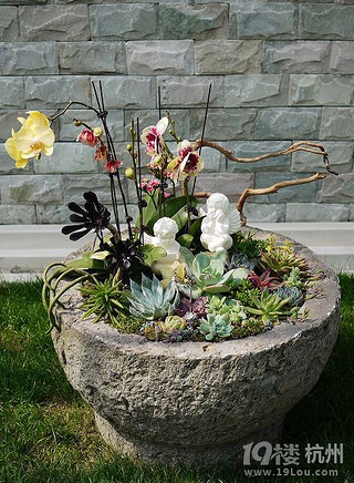 绍兴多肉大棚一日游-花鸟鱼虫-秀家软装-19楼