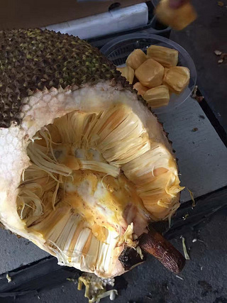 榴莲蜜比菠萝蜜好吃多了,我也爱上了_19楼手机