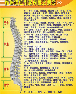 骨盆错位、脊椎错位---百病之源_19楼手机版