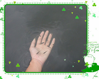 [font=arial, 宋体, sans-serif;#c00000;4]